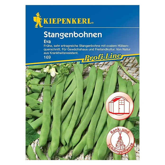 Kiepenkerl Profi-Line Gemüsesamen Stangenbohne - Eva, Phaseolus vulgaris var. vulgaris, Erntezeit: Juni - Samenpackung Stangenbohnen Eva von Kiepenkerl. Frühe, ertragreiche Sorte für Gewächshaus und Freiland, von Natur aus resistent.