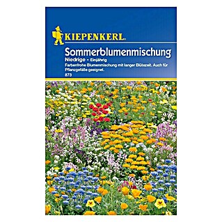 Blumensamenmischung Sommerblumenmischung (Verschiedene Sorten, Mehrfarbig)