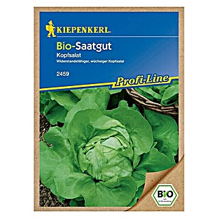 Kiepenkerl Profi-Line Salatsamen Kopfsalat (Bio Kopfsalat, Lactuca sativa var. capitata)