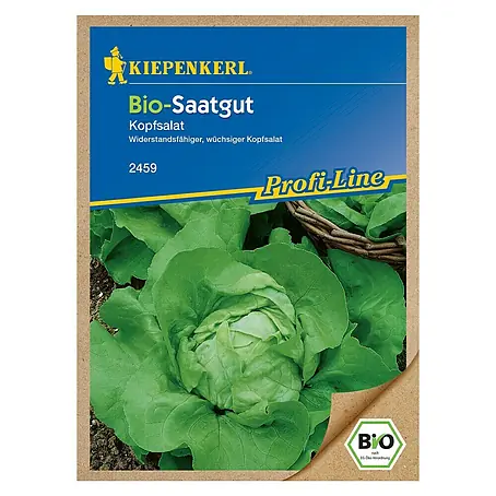 Kiepenkerl Profi-Line Salatsamen Kopfsalat