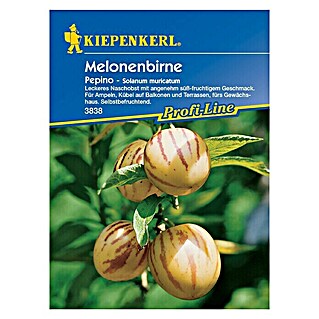 Kiepenkerl Profi-Line Obstsamen Melonenbirne (Solanum muricatum, Erntezeit: Juli)