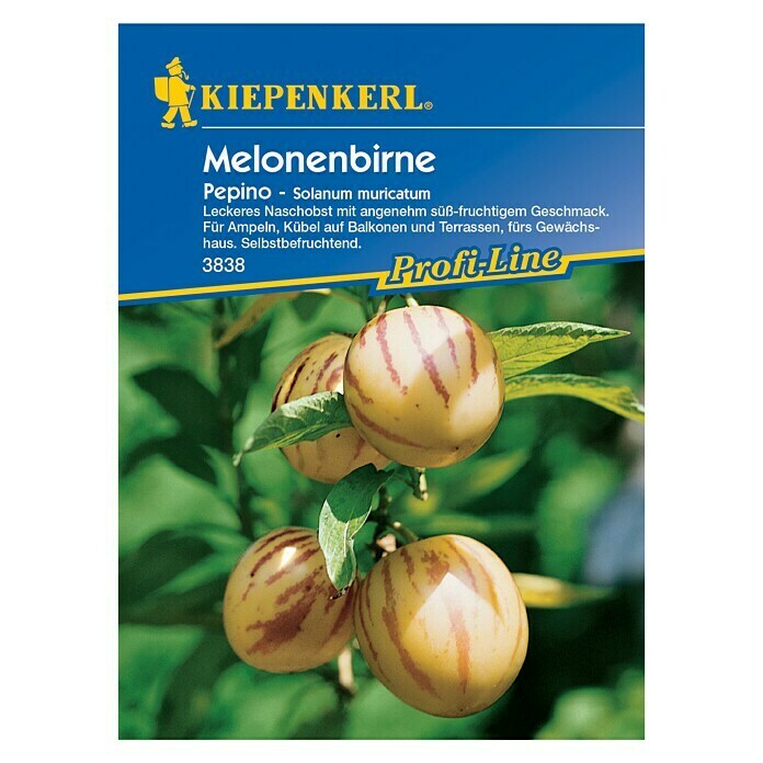 Kiepenkerl Profi-Line Obstsamen MelonenbirneSolanum muricatum, Erntezeit: Juli - November Front View