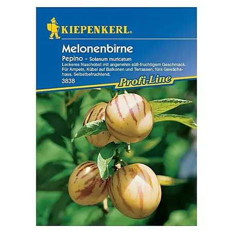 Kiepenkerl Profi-Line Obstsamen Melonenbirne