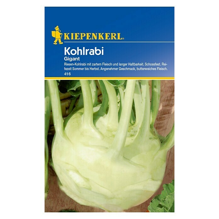 KOHLRABI GIGANT