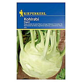 Kiepenkerl Gemüsesamen Kohlrabi Gigant (Brassica oleracea var. gongylodes, Erntezeit: Juni)