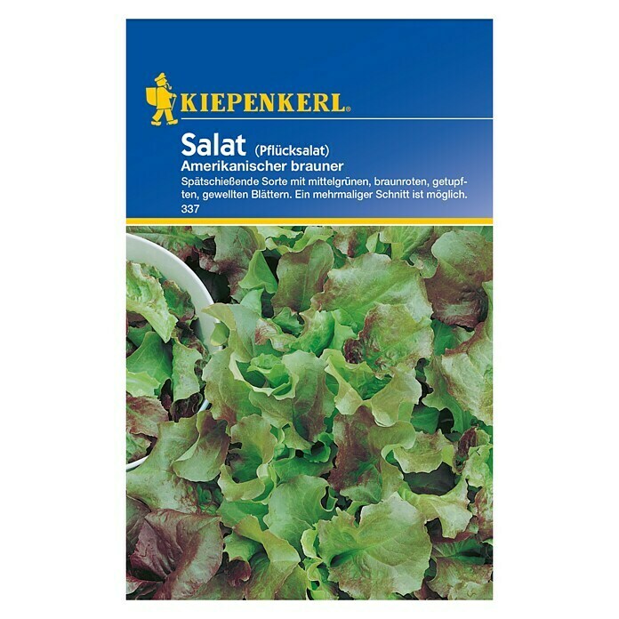 Kiepenkerl Salatsamen Pflücksalat Amerikanischer braunerLactuca sativa var. crispa, Erntezeit: April - Oktober Front View