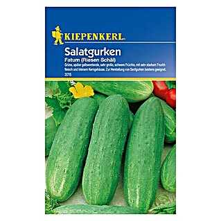 Kiepenkerl Gemüsesamen Schälgurke (Cucumis sativus, Erntezeit: Juli)