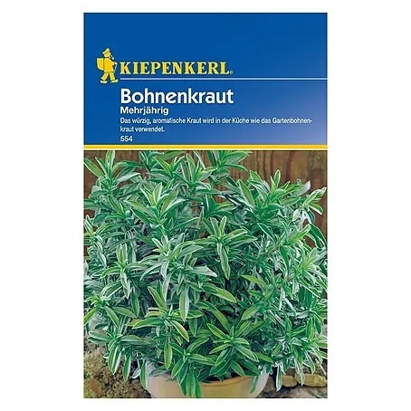 Kräutersamen Bohnenkraut
