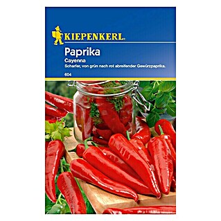 Kiepenkerl Gemüsesamen Paprika (Capsicum annuum, Erntezeit: August - September, Cayenna)