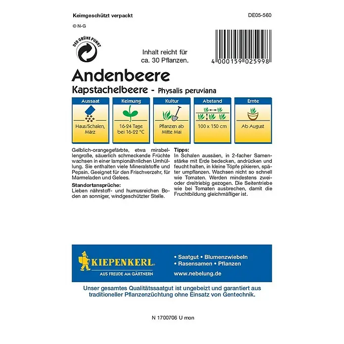 Kiepenkerl Profi-Line Obstsamen Andenbeere - Physalis peruviana, Erntezeit: August - Abbildung einer Samenpackung Andenbeere (Kapstachelbeere - Physalis peruviana) mit Anweisungen zu Aussaat, Keimung, Kultur, Abstand und Ernte.