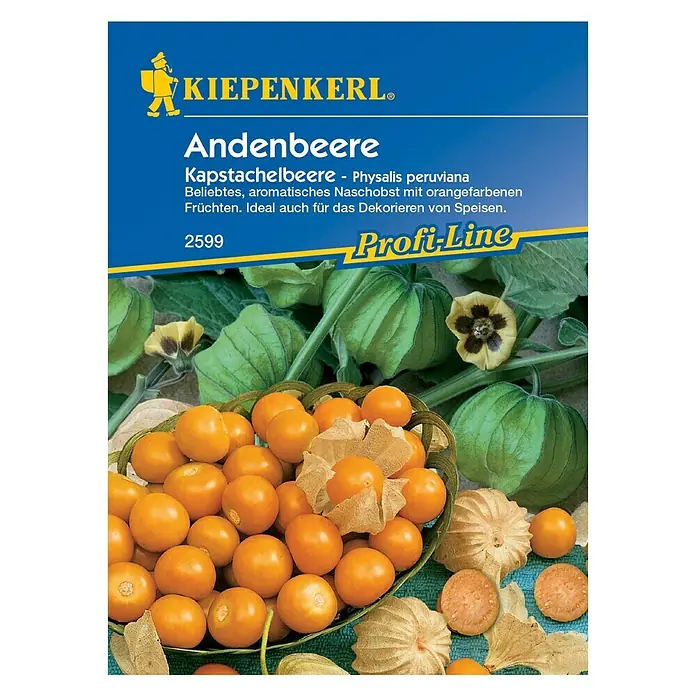 Kiepenkerl Profi-Line Obstsamen Andenbeere - Physalis peruviana, Erntezeit: August - Samentüte Andenbeere von Kiepenkerl, köstliche, orangefarbene Früchte, ideal zum Naschen und Dekorieren.