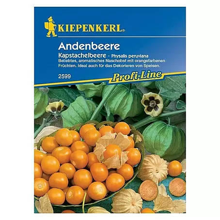 Kiepenkerl Profi-Line Obstsamen Andenbeere