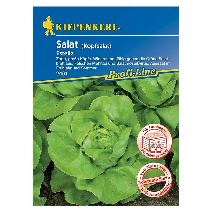 Kiepenkerl Profi-Line Salatsamen Feldsalat Miro (Valerianella Locusta