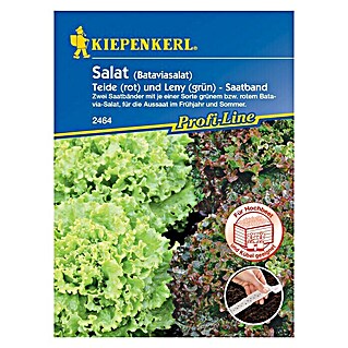 Kiepenkerl Salatsamen Batavia-Salat (Lactuca sativa, Erntezeit: Mai - Oktober)