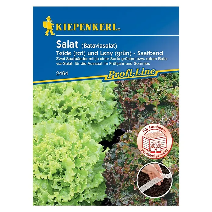 Kiepenkerl Salatsamen Batavia-Salat Saatband - Lactuca sativa, Erntezeit: Mai - Abbildung der Kiepenkerl Salat Bataviasalat-Samenpackung, die Teide (rot) und Leny (grün) Sorten für Frühjahr/Sommer Anbau enthält.