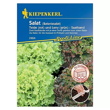 Kiepenkerl  Salatsamen Batavia-Salat