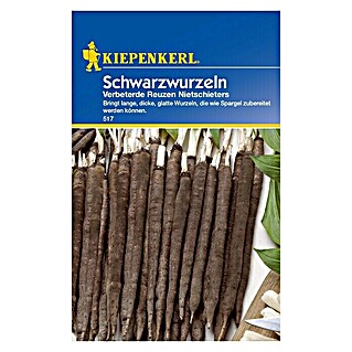 Kiepenkerl Gemüsesamen Schwarzwurzel (Scorzonera hispanica, Erntezeit: September)