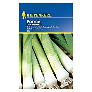 Kiepenkerl Gemüsesamen Porree de Carentan 2 (Allium porrum, Erntezeit: Oktober)