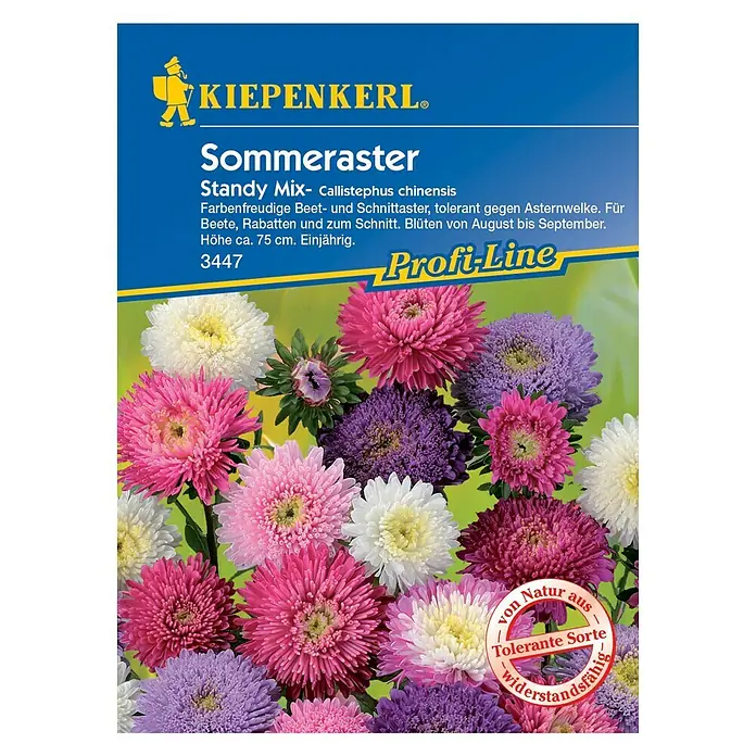 Kiepenkerl Profi-Line Blumensamen Sommeraster - Callistephus chinensis, Standy Mix, Blütezeit: August - Samenpackung Sommerastern 'Standy Mix' von Kiepenkerl. Farbenfrohe, einjährige Sommerblumenmischung für Beet, Rabatten und Schnitt.