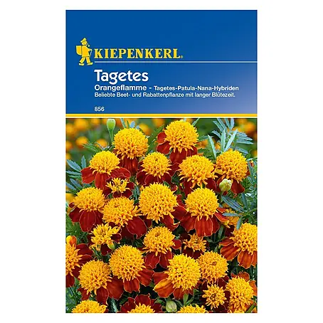 Kiepenkerl  Blumensamen Studentenblume