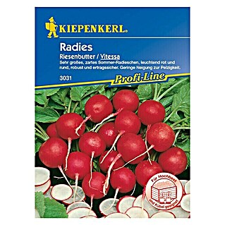 Kiepenkerl Profi-Line Gemüsesamen Radieschen (Vitessa, Raphanus sativus var. sativus, Erntezeit: Juni)