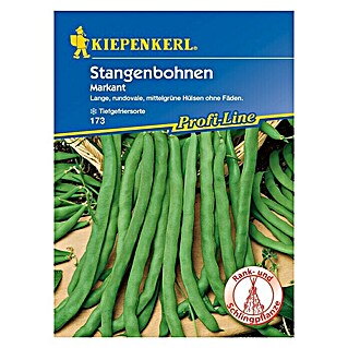 Kiepenkerl Profi-Line Gemüsesamen Stangenbohne (Markant, Phaseolus vulgaris var. vulgaris, Erntezeit: Juli)