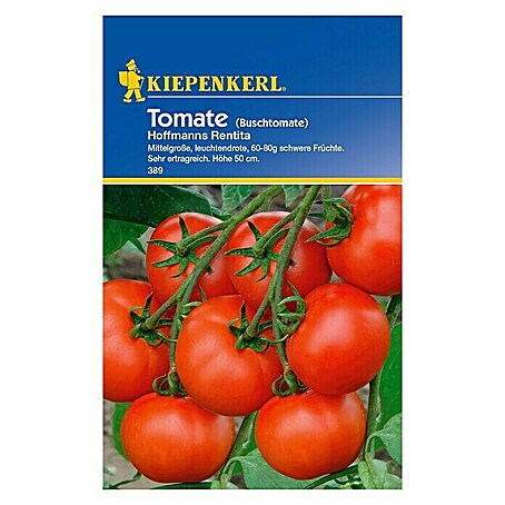Kiepenkerl Gemüsesamen Tomate (Hofmanns Rentita, Solanum lycopersicum, Erntezeit: Juli)
