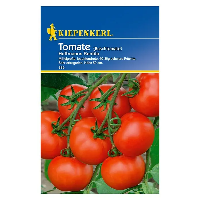 Kiepenkerl Gemüsesamen Tomate - Hofmanns Rentita, Solanum lycopersicum, Erntezeit: Juli - Bild der Tomatensorte 'Hoffmanns Rentita' von Kiepenkerl: mittelgroße, leuchtend rote Früchte.