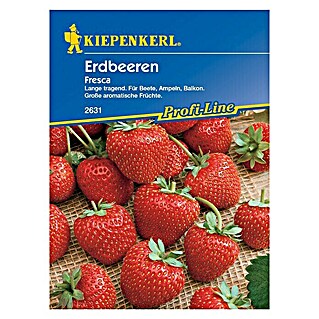 Kiepenkerl Profi-Line Obstsamen Erdbeere (Fragaria x ananassa, Erntezeit: Juli - Oktober)