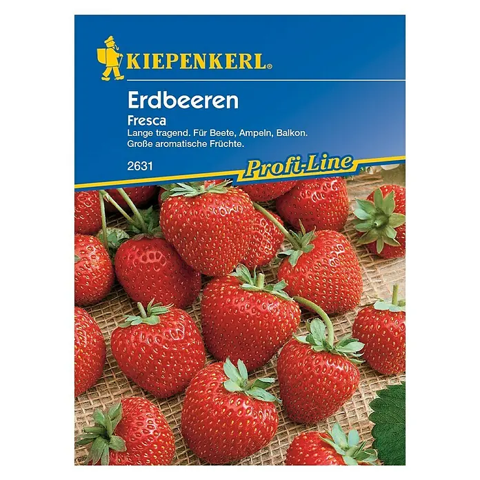 Kiepenkerl Profi-Line Obstsamen ErdbeereFragaria x ananassa, Erntezeit: Juli - Samenpackung Kiepenkerl Erdbeeren Fresca, lange tragend, für Beete, Ampeln und Balkon, mit großen, aromatischen Früchten.