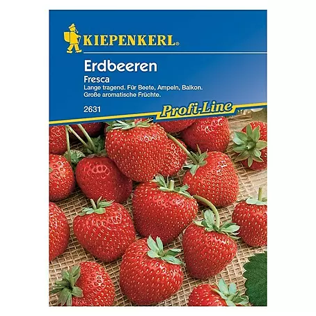 Kiepenkerl Profi-Line Obstsamen Erdbeere