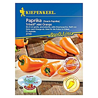 Kiepenkerl Profi-Line Gemüsesamen Snackpaprika (Capsicum annuum, Erntezeit: Juli)
