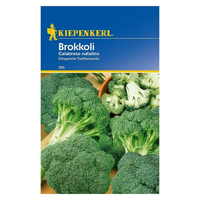 Kiepenkerl Gemüsesamen Brokkoli Calabrese Natalino - Brassica oleracea var. italica, Erntezeit: Juli - Brokkolisamen "Calabrese natalino": Ertragreiche Traditionssorte für den eigenen Garten.