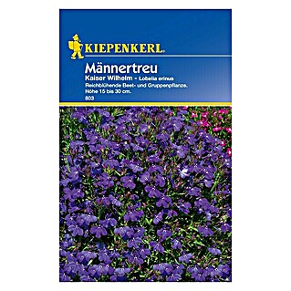 Kiepenkerl Blumensamen Männertreu (Lobelia erinus, Blau)