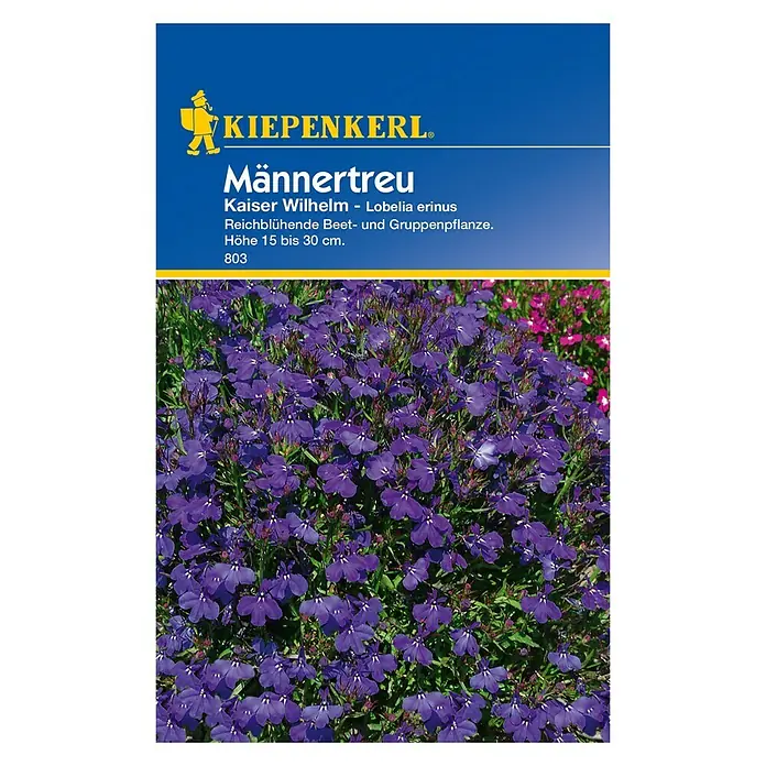 Kiepenkerl Blumensamen Männertreu - Lobelia erinus, Blau - Abbildung einer Samentüte "Männertreu Kaiser Wilhelm". Die Samentüte zeigt eine Nahaufnahme der leuchtend blauen Lobelia erinus Blumen.