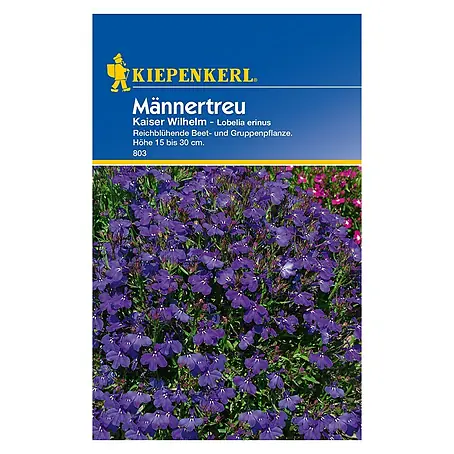 Kiepenkerl  Blumensamen Männertreu