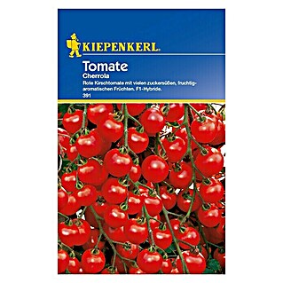 Kiepenkerl Gemüsesamen Tomate (Cherrloa F1, Solanum lycopersicum, Erntezeit: Juli)