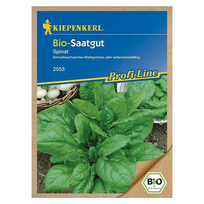 Kiepenkerl Profi-Line Gemüsesamen Spinat (Bio, Spinacia oleracea, Erntezeit: April)
