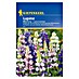 Kiepenkerl Blumensamenmischung Lupine 