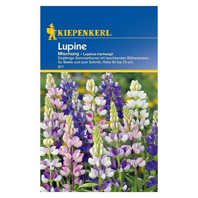 Kiepenkerl Blumensamenmischung LupineLupinus hartwegii, Mehrfarbig Front View