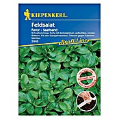 Kiepenkerl Profi-Line Salatsamen Feldsalat (Favor - Saatband, Valerianella locusta, Erntezeit: Ganzjährig) | BAUHAUS