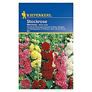 Kiepenkerl Blumensamenmischung Stockrose (Alcea rosea, Mehrfarbig)