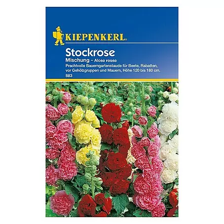 Kiepenkerl  Blumensamenmischung Stockrose