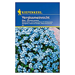 Kiepenkerl Blumensamen Vergissmeinnicht (Myosotis sylvatica, Blau)