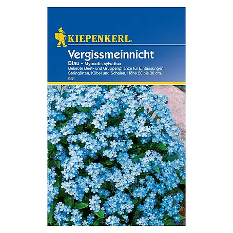 Kiepenkerl  Blumensamen Vergissmeinnicht