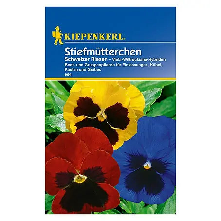 Kiepenkerl  Blumensamen Stiefmütterchen