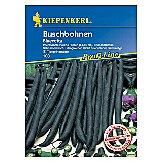 Kiepenkerl Profi-Line Gemüsesamen Buschbohne (Bluevetta, Phaseolus vulgaris var. nanus, Erntezeit: Juli)