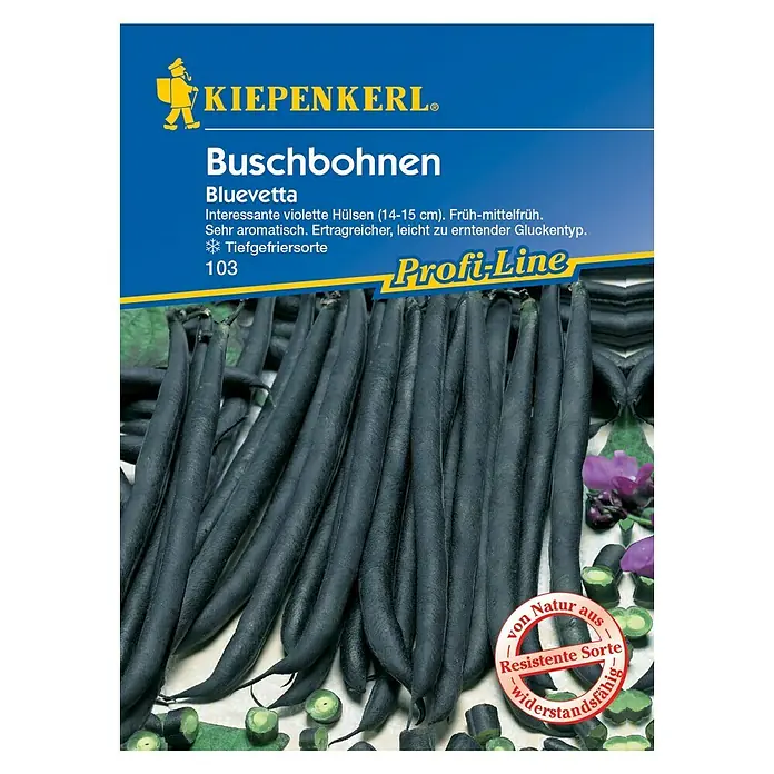 Kiepenkerl Profi-Line Gemüsesamen Buschbohne - Bluevetta, Phaseolus vulgaris var. nanus, Erntezeit: Juli - Abbildung der Kiepenkerl Buschbohnen Bluevetta-Samenpackung, die violette Hülsen mit hohem Ertrag und Aromen verspricht.