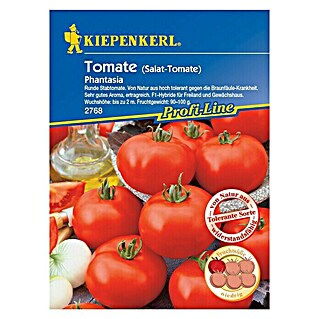 Kiepenkerl Profi-Line Gemüsesamen Tomate (Phantasia F1, Solanum lycopersicum, Erntezeit: Juli)