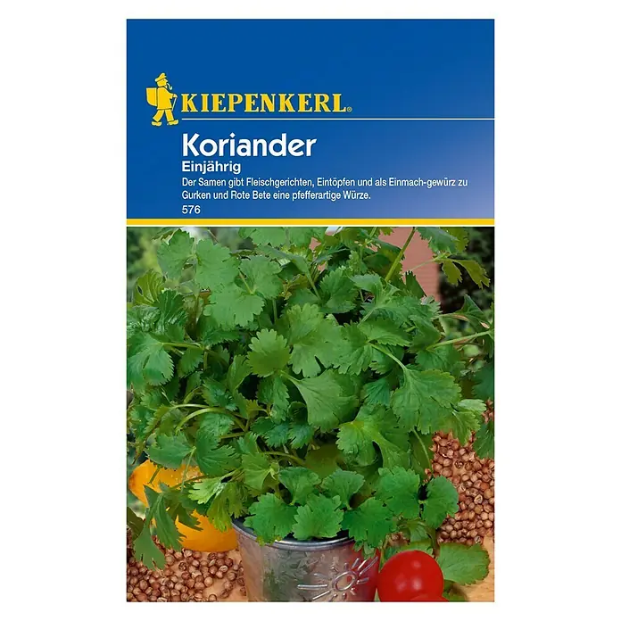 Kiepenkerl Kräutersamen Koriander - Coriandrum sativum, Saatzeit: April, Erntezeit: Juni - Bild einer Samenpackung KIEPENKERL Koriander Einjährig. Die Samen verfeinern Fleischgerichte, Eintöpfe und Gewürzgurken mit einer pfefferartigen Würze.